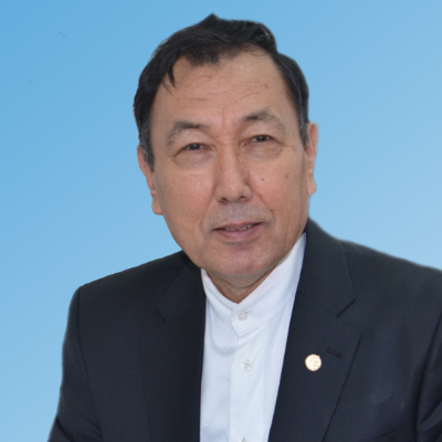 Абылайулы Ж.А.